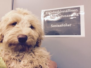 Hello Finland